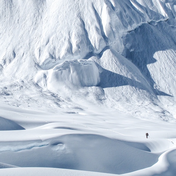 Foto copertina di Eric Larsen